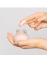 Reviving Rose Infusion Cream - Aromatica | MiiN Cosmetics