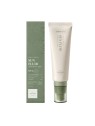 Sunscreen Daily Mild Fluid · Village 11 | MiiN Cosmetics